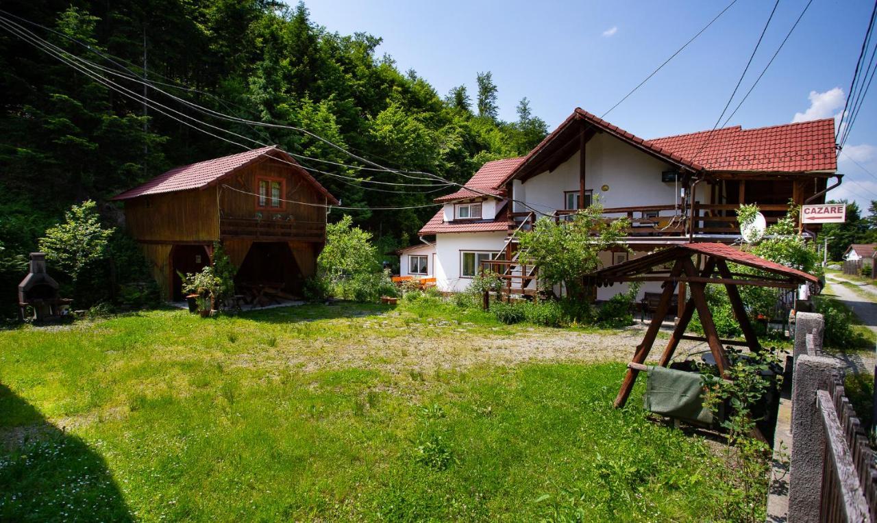 Casa Trandafirilor Hotel Cîrţişoara Bagian luar foto