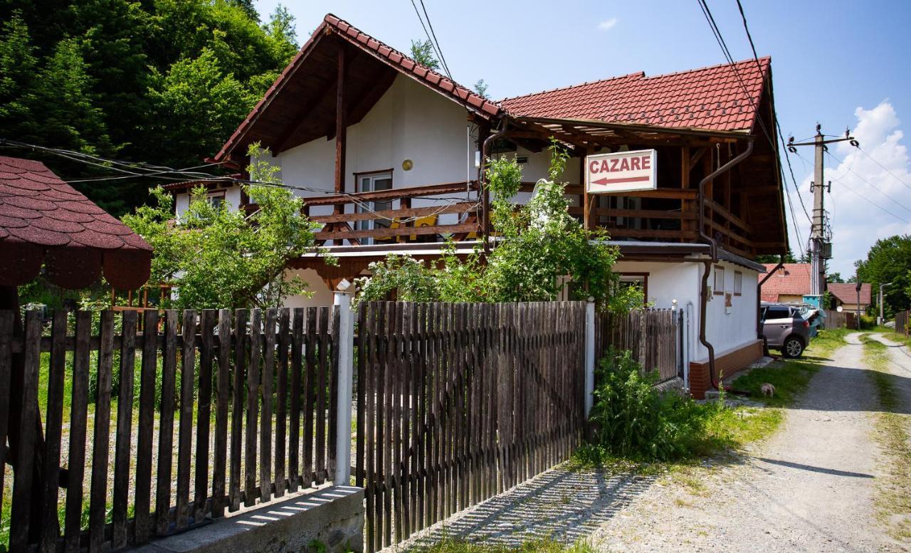 Casa Trandafirilor Hotel Cîrţişoara Bagian luar foto