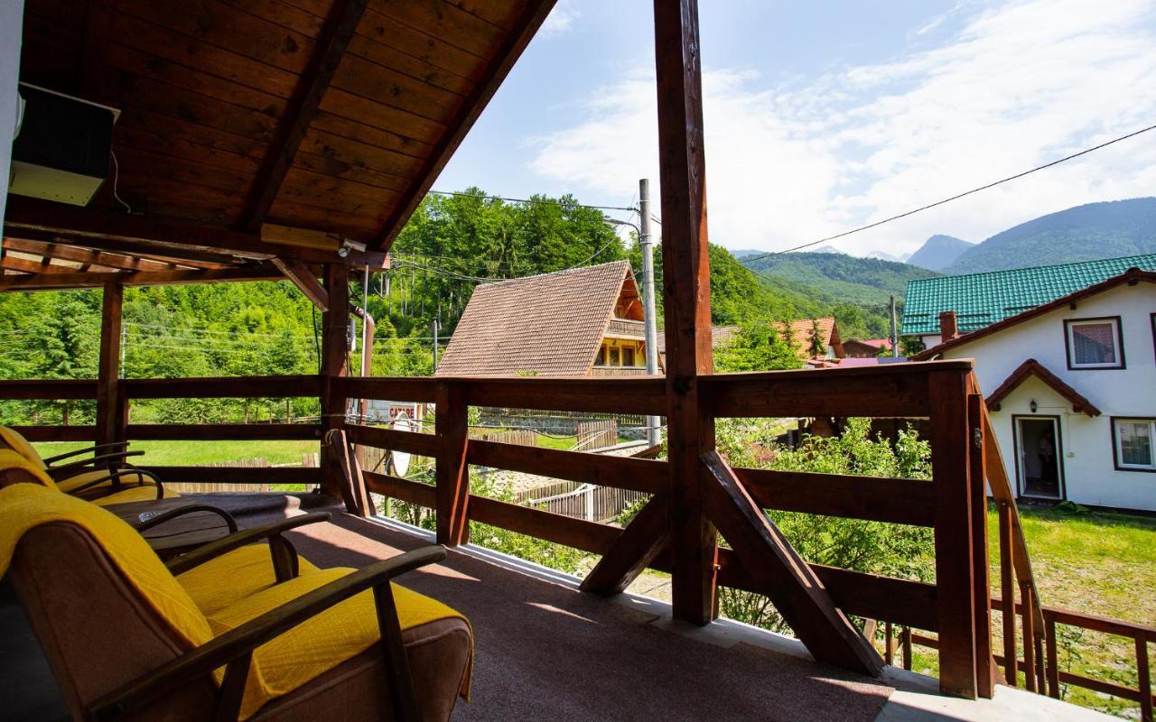 Casa Trandafirilor Hotel Cîrţişoara Bagian luar foto