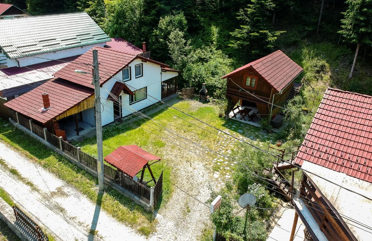 Casa Trandafirilor Hotel Cîrţişoara Bagian luar foto