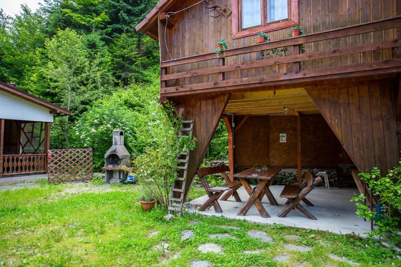 Casa Trandafirilor Hotel Cîrţişoara Bagian luar foto