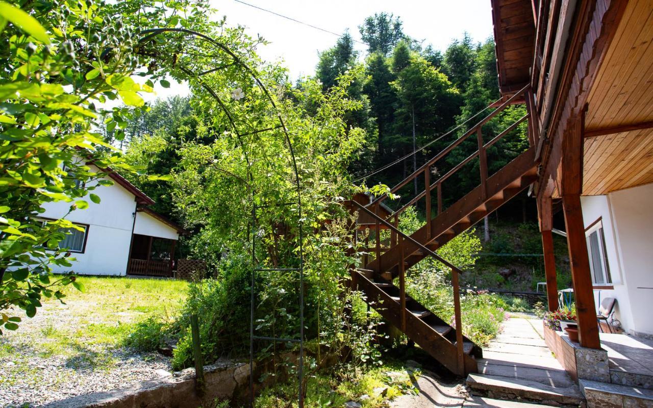 Casa Trandafirilor Hotel Cîrţişoara Bagian luar foto