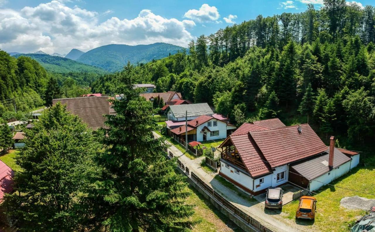 Casa Trandafirilor Hotel Cîrţişoara Bagian luar foto